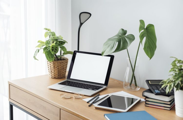 Escritorio de oficina con plantas naturales